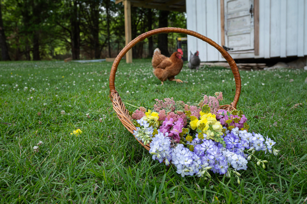 A basket filled with colorful flowers as two chickens walk behind it.