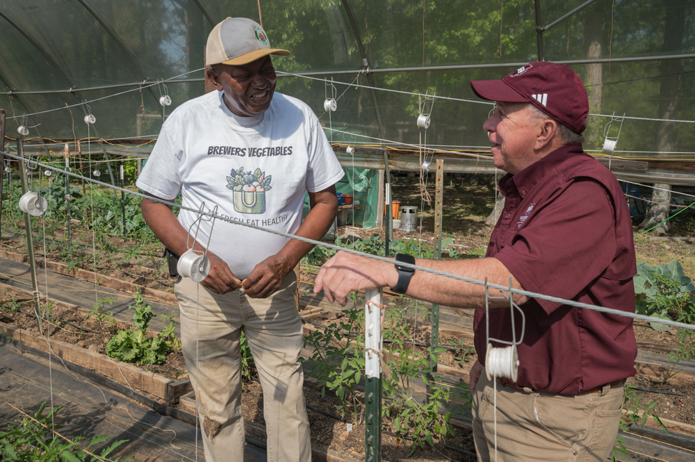 Two people talking in a high tunnel surrounded by growing vegetables.