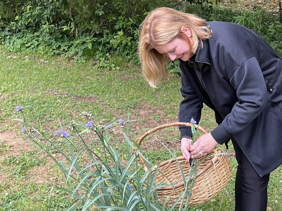 A person holds a basket and handles grassy plants with purple flowers.