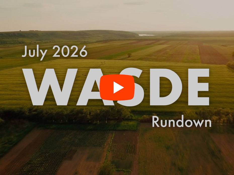 July 2026 WASDE Rundown graphic