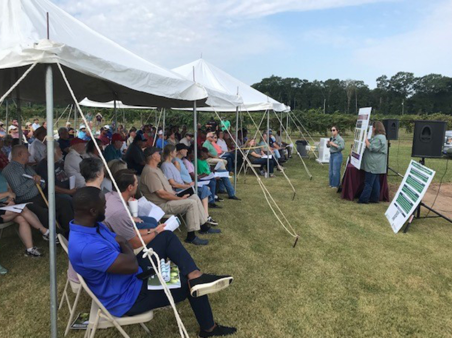 Presenters address a large crowd sitting under outdoor tents.
