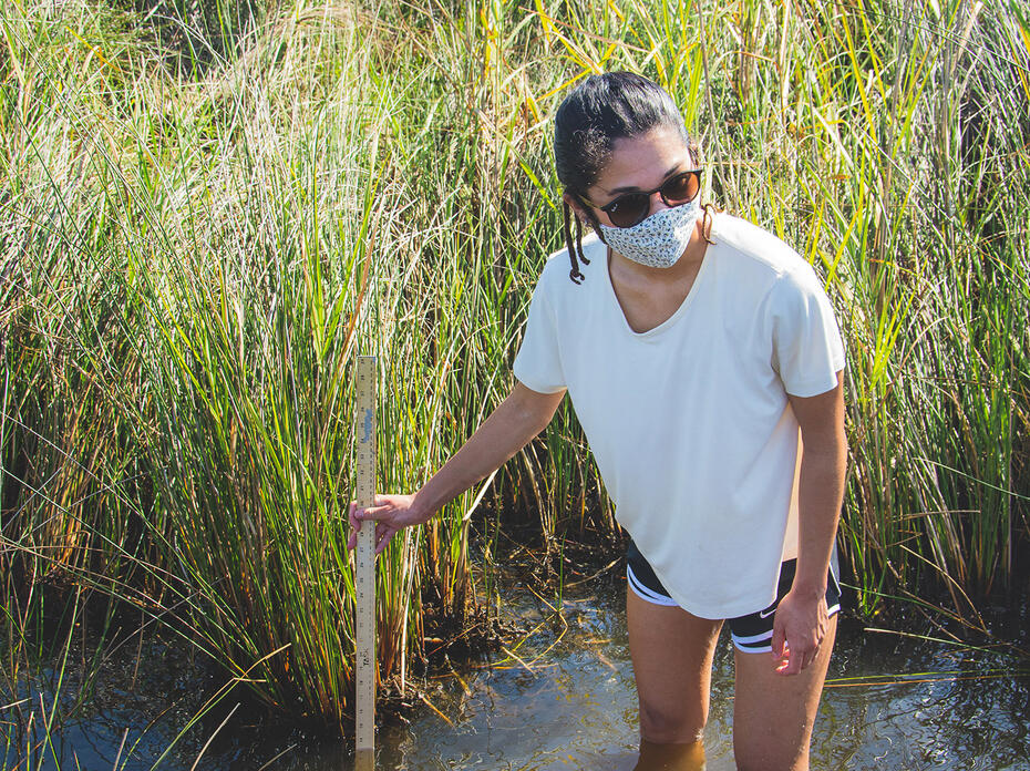Girl wading knee-deep in water measuring its depth with a yardstick