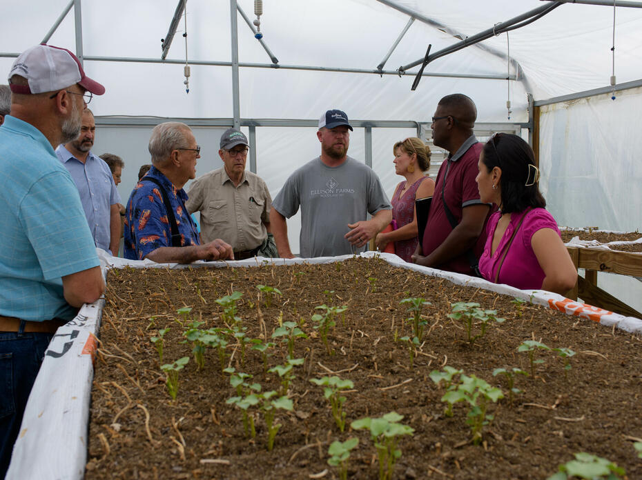 A group gathers around a table-top planter growing small plants.