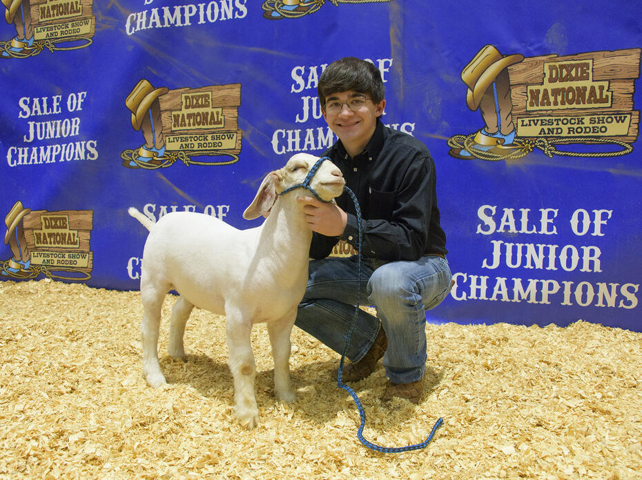 A teenage boy poses with a goat.