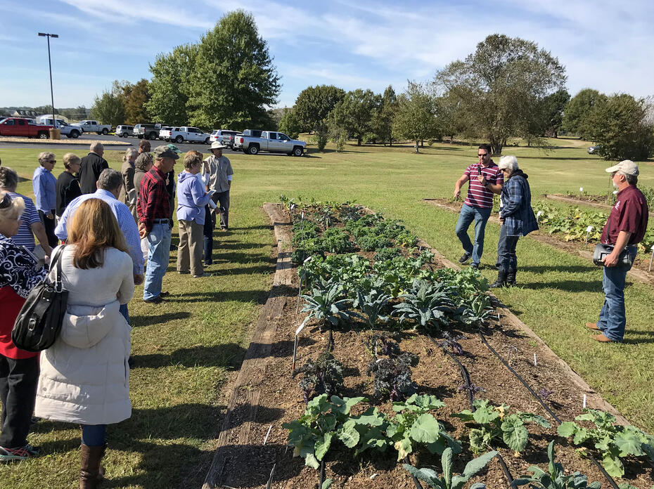 People look at plants in a garden.