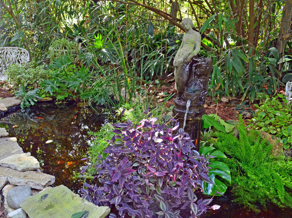 A small, garden pond is surrounded by plants.