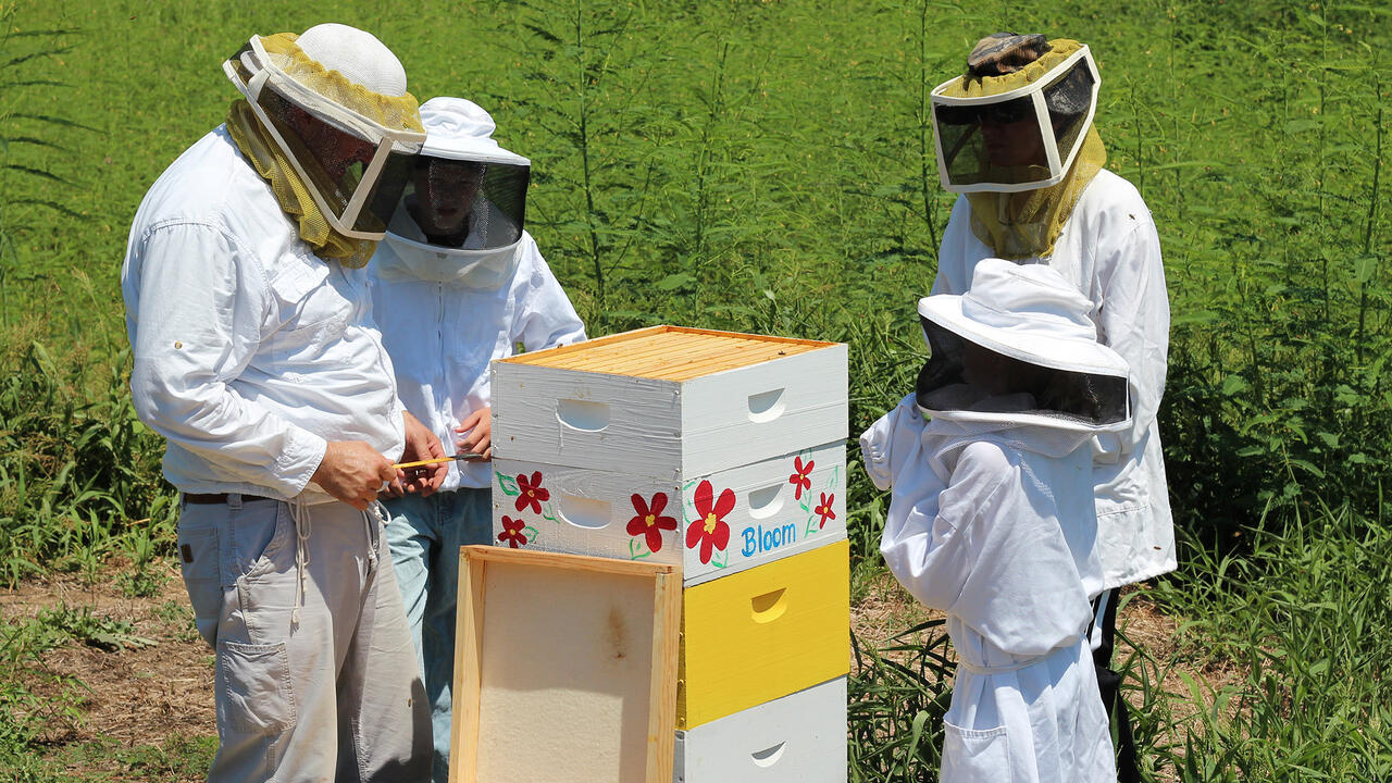 A beekeeper teaching three young people about keeping bees while looking at bee hives. 