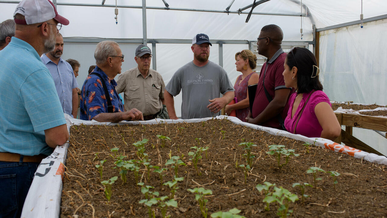 A group gathers around a table-top planter growing small plants.