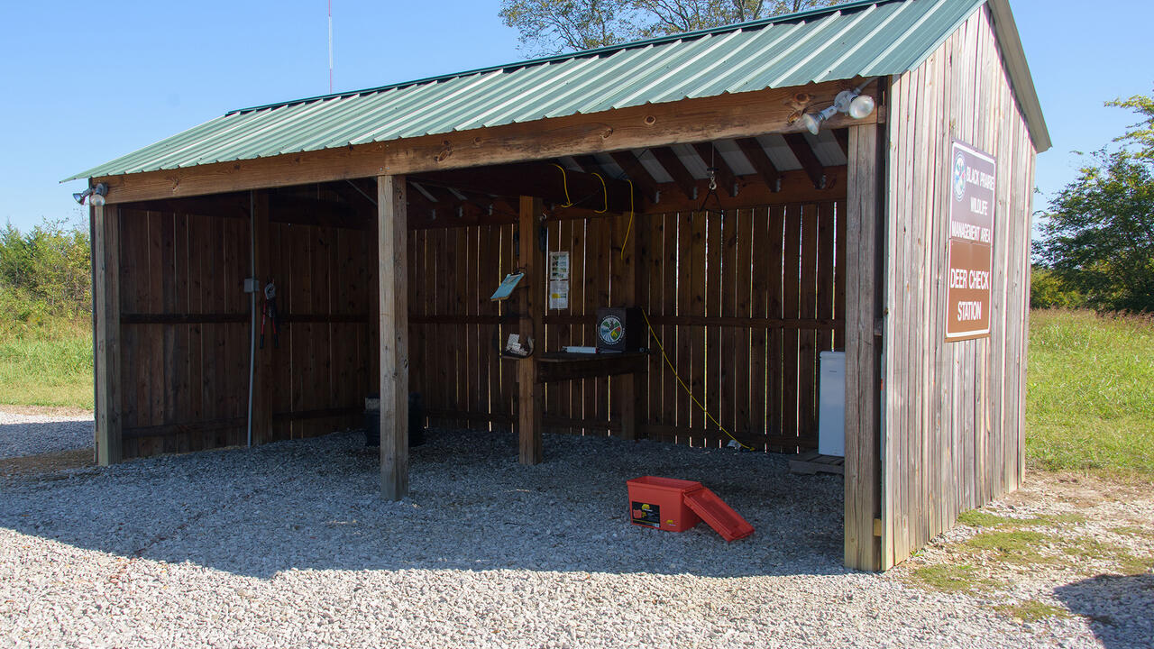 An open wooden shed houses miscellaneous items.