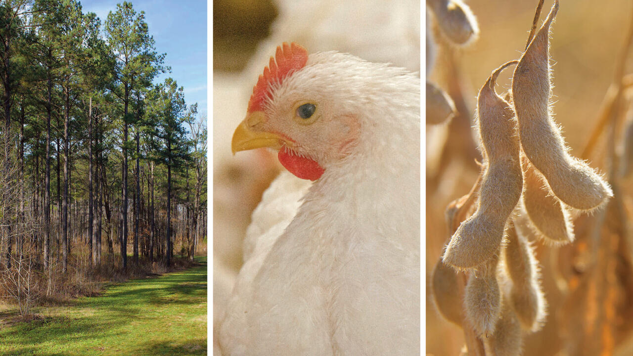 Panels display timber, chickens and soybeans.