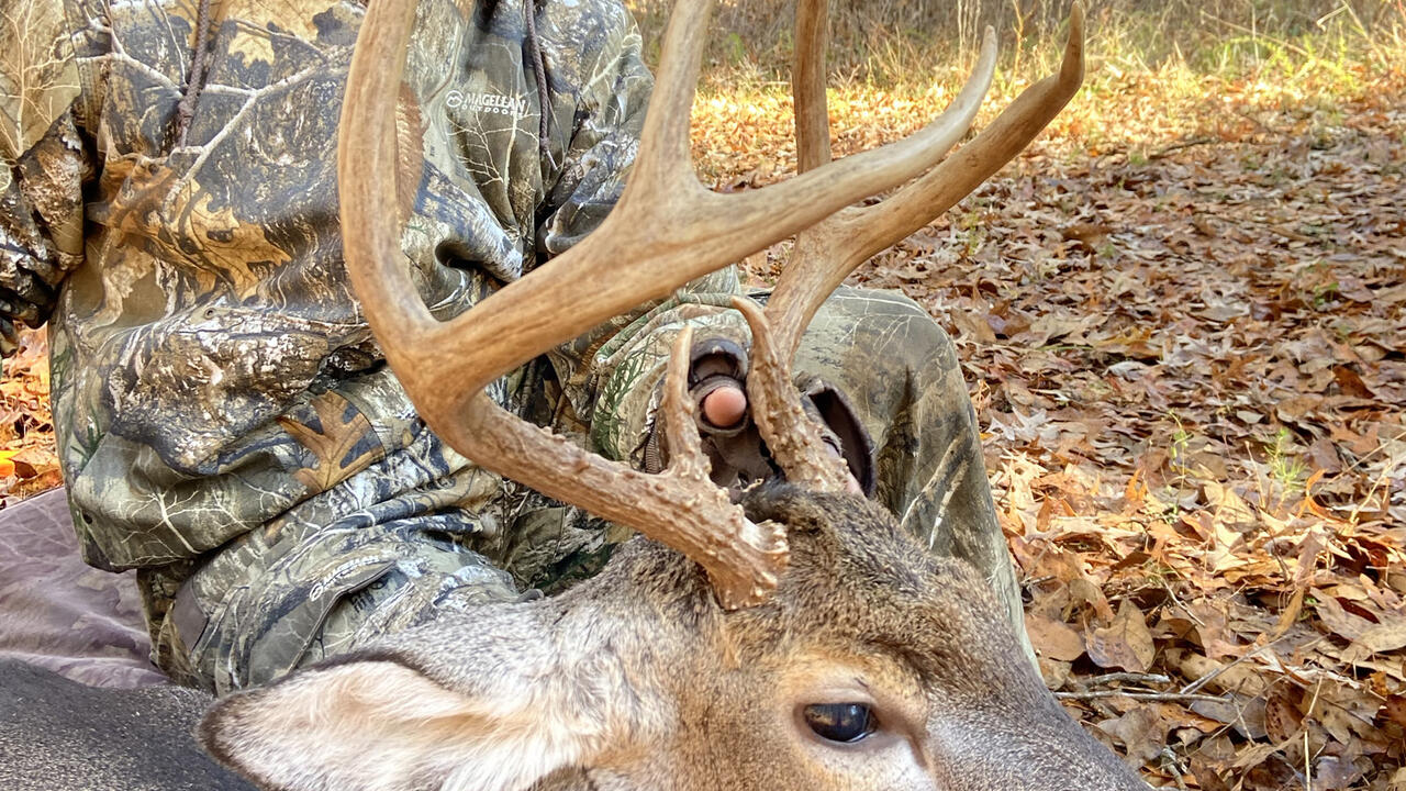 A man kneels beside a harvested buck.
