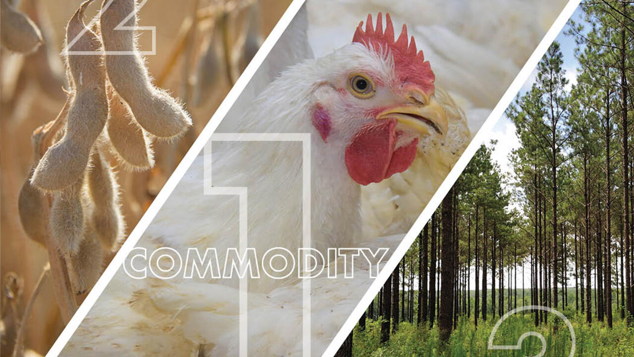 A three-panel photo illustration showing soybeans in the first panel, a chicken in the middle one and trees in the right panel.
