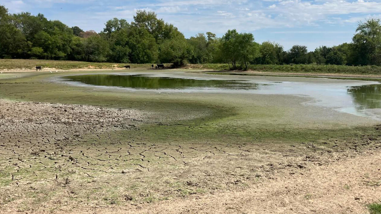 A pond has dried into a fraction of its usual size.