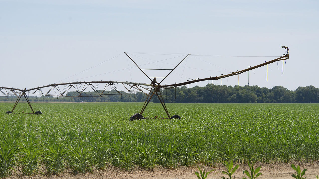 A metal spray system stands in a corn field.