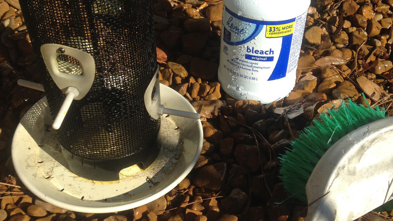 Bird feeder, bottle of bleach and cleaning brush.