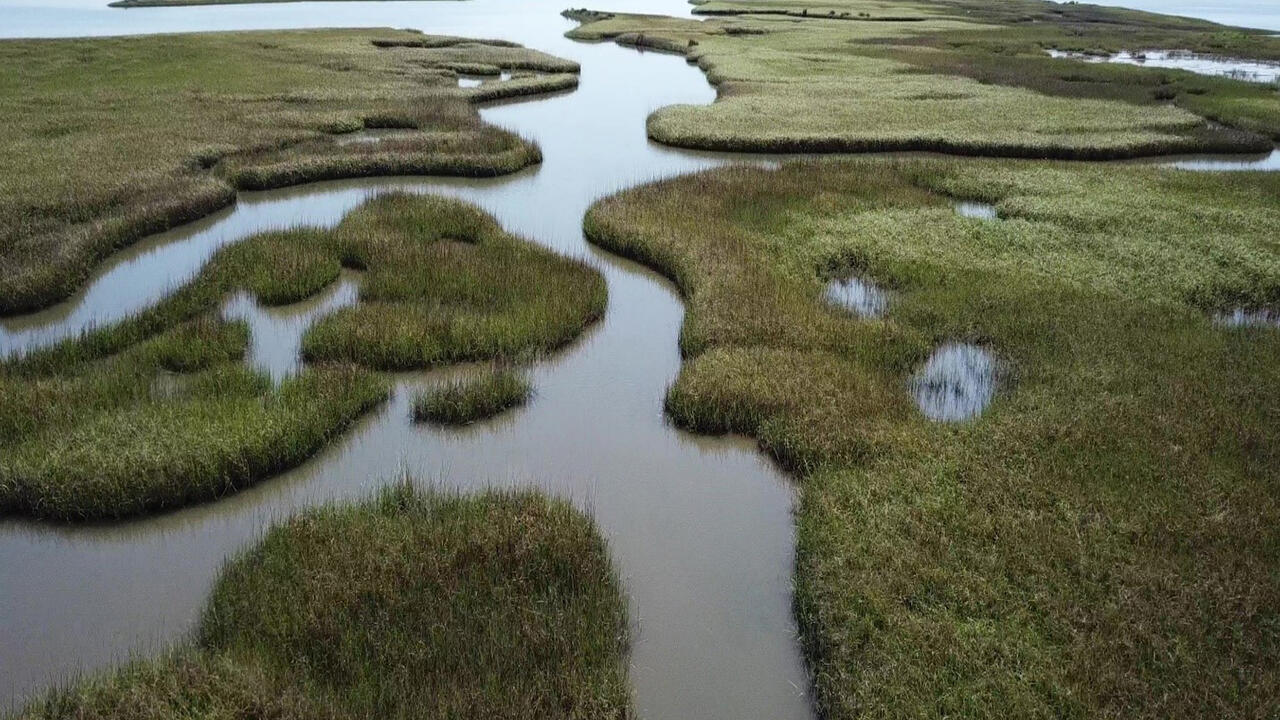 Salt marshes and water