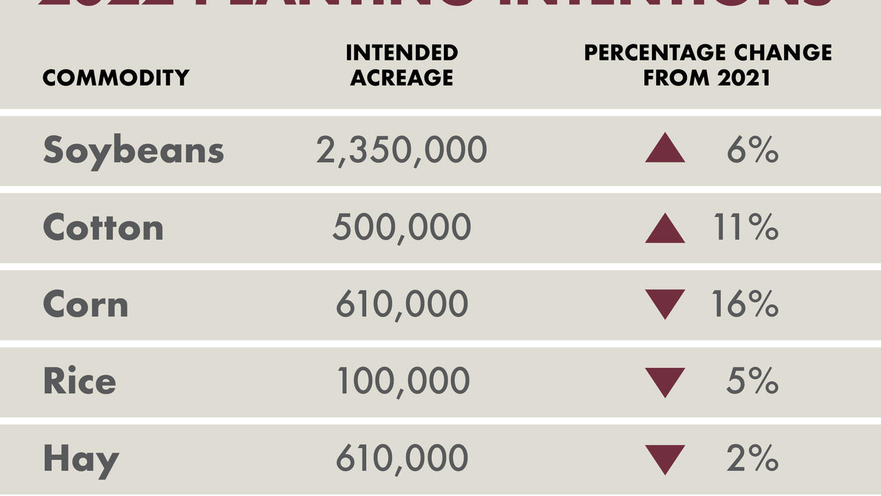Graphic of planting intentions