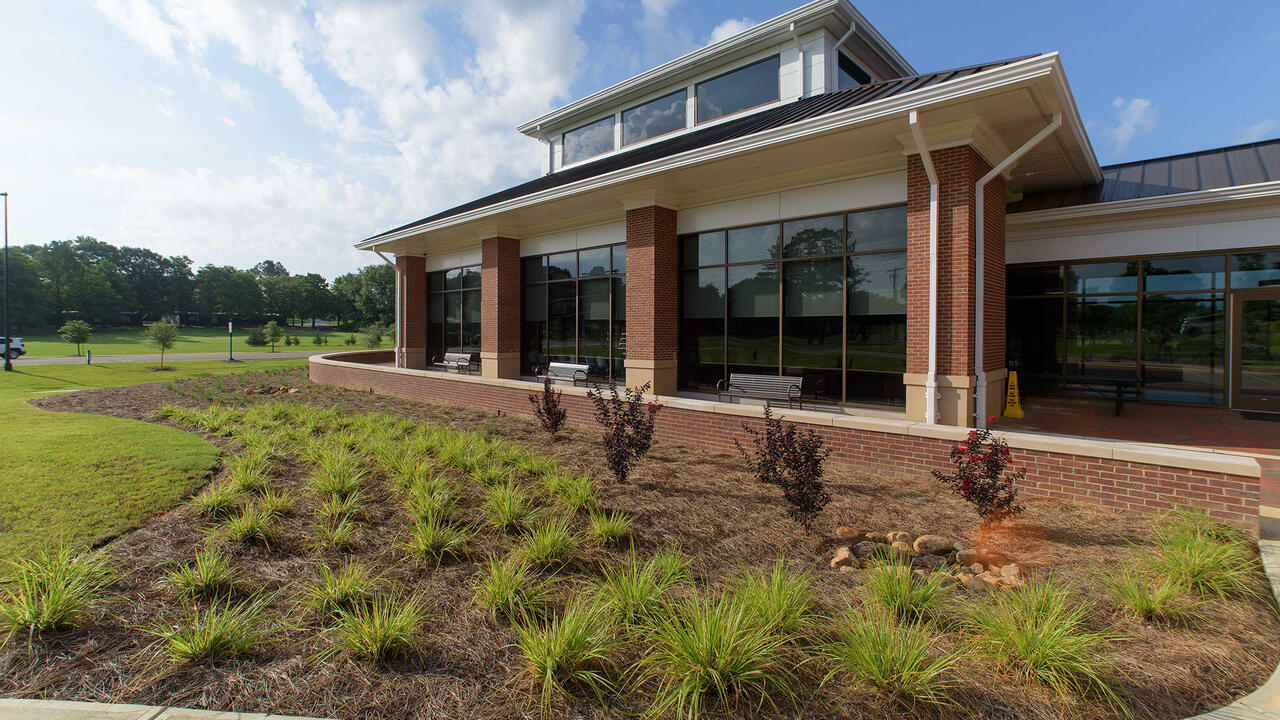 Grasses and small bushes adorn a landscape bed in front of a building.