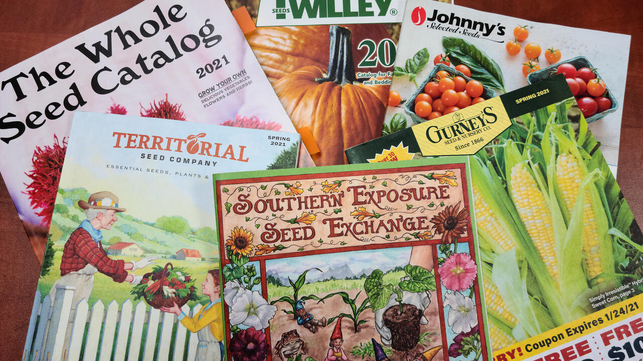 Six garden catalogs are displayed.