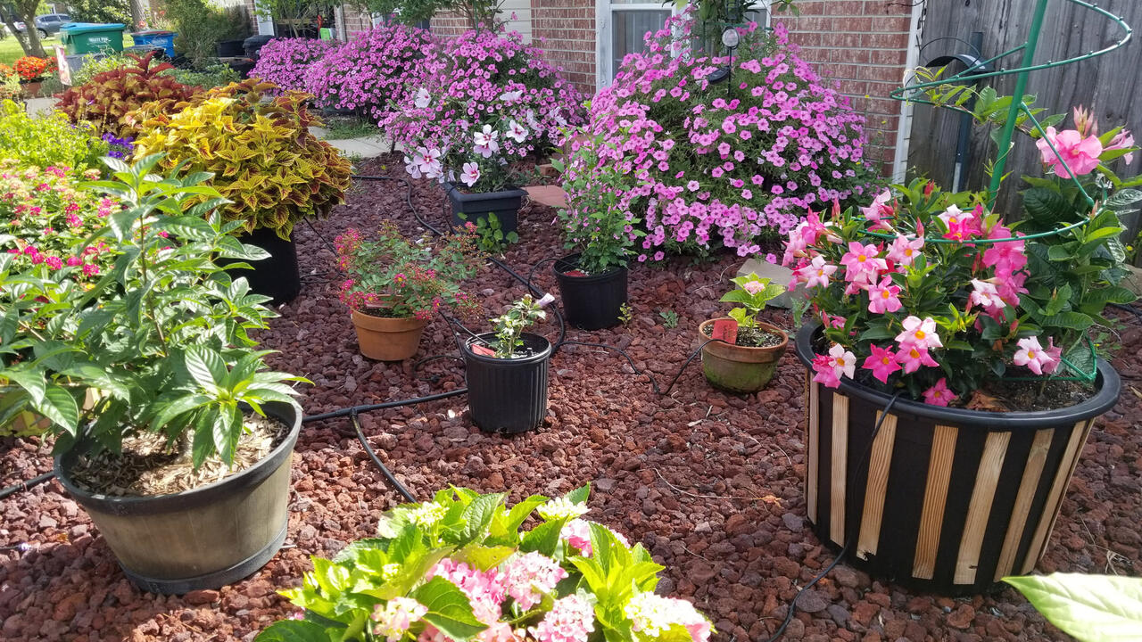 A variety of different sized and colored containers rest on a bed of gravel.