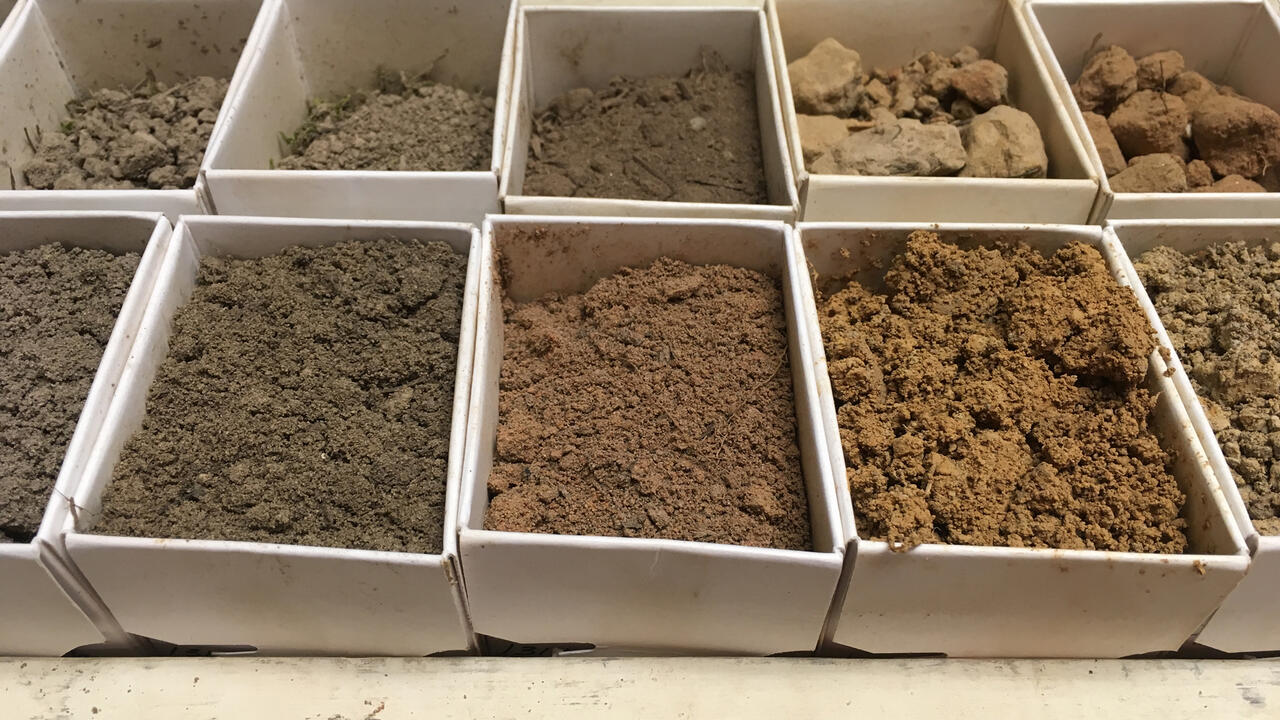 Ten boxes in rows hold soil samples.