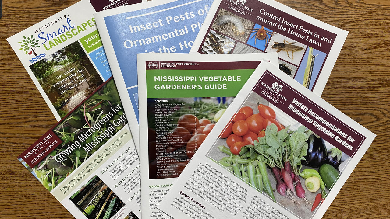 Publications are spread on a table.