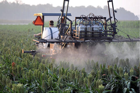 A tractor with silver tanks on the back releasing pesticides onto green crops. 