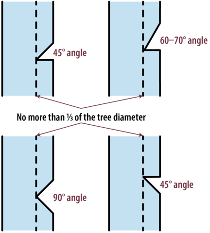 Four diagrams of side views on trees show the different angles of wedges for face cuts. For each angle (45-degree, 60- to -70-degree, 90-degree, and an inverse 45-degree angle), the face cut should not be more than 1/3 of the diameter of the tree.