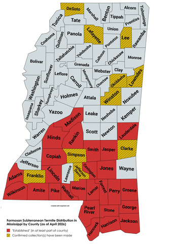 A Mississippi map shows established Formosan subterranean termite colonies in southern and central counties and isolated collections in northern parts of the state.