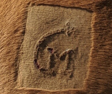 A shaved square with hair growing back in the brand design.
