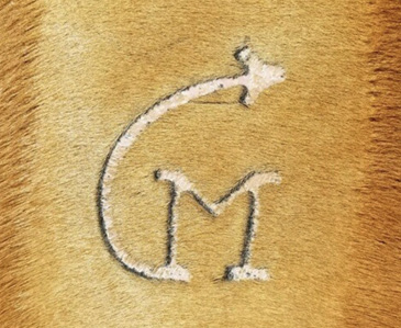 White hair grown into the brand design. The shaved square of hair is almost grown back and a reddish color.