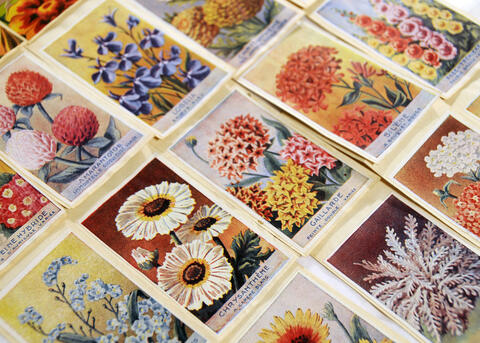 A page displays rows of flower seed packets.