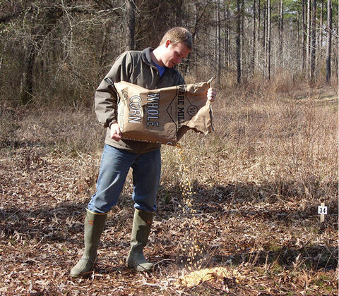 A person pours bait on the ground near a site marker. 