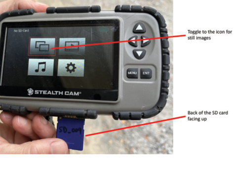 A closeup of hands holding a gray Stealth Cam. An icon with two rectangles is highlighted indicating to toggle to the icon for still images. One hand pulls out a blue SD card with the back of the card facing up. “SD_009” is written on the card in black marker.