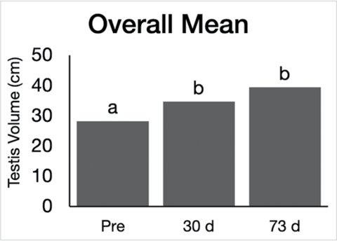 In the Texas A&amp;M study, researchers measured stallions' testicles before the unilateral orchiectomy, 30 days post-operation, and 73 days post-operation. The remaining testicles increased in size by about 33 percent.
