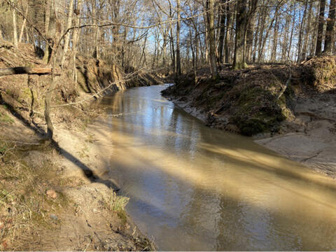 A wide stream running through a wooded area.
