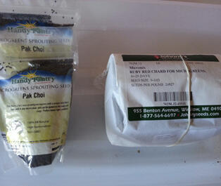 Two plastic packages with labels; one is pak choi and the other is ruby red chard.