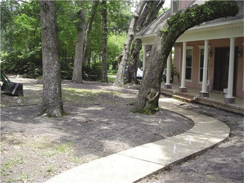 A curved concrete pathway leading to a house. The path is surrounded by brown dirt and several trees.