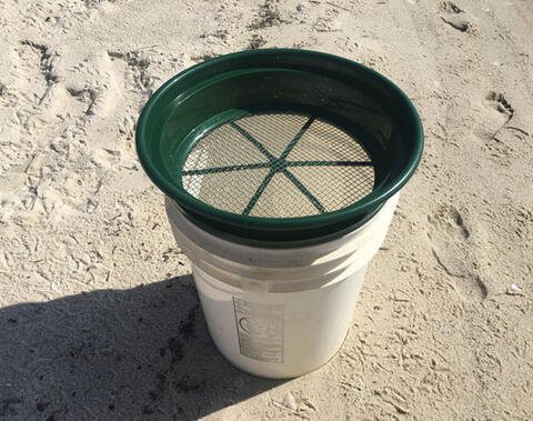 A sieve sits on a bucket on a sandy beach. 