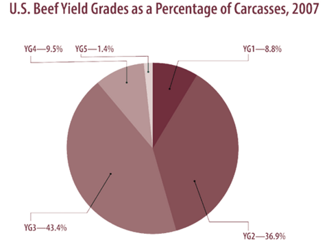 Pie chart. U.S. beef yield grades vary between 1 and 5. As a percentage, they were YG1, 8.8%; YG2, 36.9%; YG3, 43.4%; YG4, 9.5%, and YG5, 1.4%.  