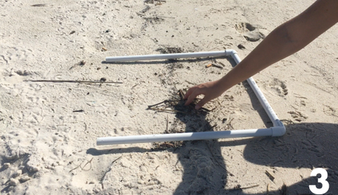 Photo 3: A researcher is reaching into the wrack line to collect. naturally occuring debris.