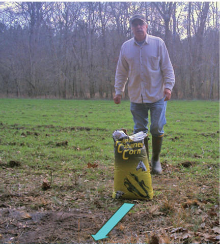 A person prepares to place bait in a field. 