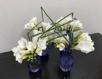 Four blue vases with white flowers on a table. Bent green stems are jutting from vase to vase.