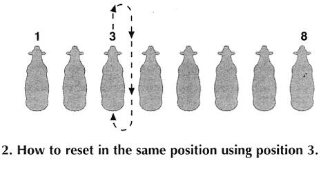 To reset in the same position using position 3 as an example, walk the calf forward, turn right and go through position 3, turn the calf around and reset in position 3. 