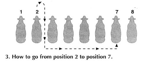 To switch from position 2 to position 7, walk the calf forward, turn and go through position 2, turn left and walk the calf behind the other positions, moving into position 7. 