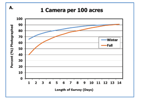 With one game camera per 100 acres, the percent of deer photographed in the fall increased from about 40 percent at day 1 to about 90 percent at day 14. In the winter, about 68 percent were photographed at day 1 and about 90 percent at day 14. 