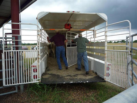 Two people pushing a divider gate into a white trailer.