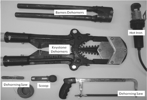 Barnes dehorners, hot iron, keystone dehorners, two dehorning saws, and scoop.