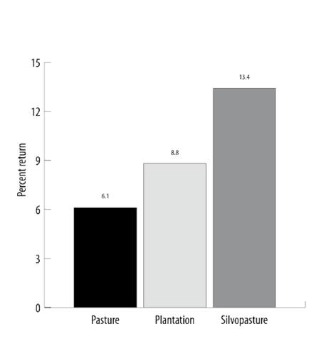 The internal rate of return for various other management options: Pasture is 6.1; plantation is 8.8; and silvopasture is 13.4. 