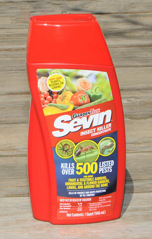 red bottle of Sevin insect killer.